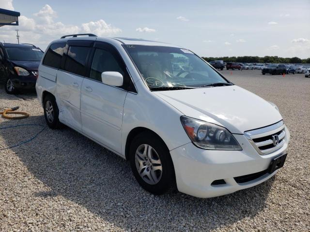 HONDA ODYSSEY EX 2006 5fnrl38606b461931