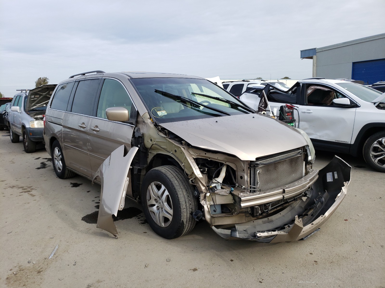 HONDA ODYSSEY EX 2007 5fnrl38607b053883