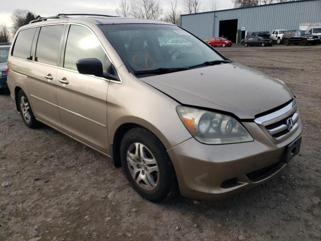 HONDA ODYSSEY EX 2005 5fnrl38615b408573