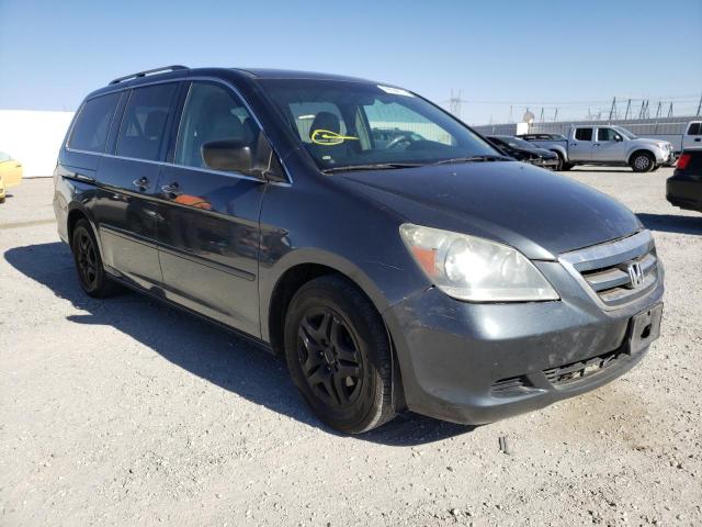 HONDA ODYSSEY EX 2006 5fnrl38616b409188