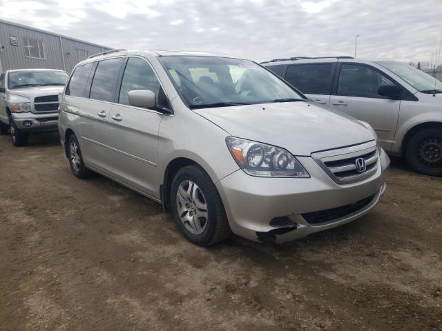 HONDA ODYSSEY EX 2006 5fnrl38616b513602