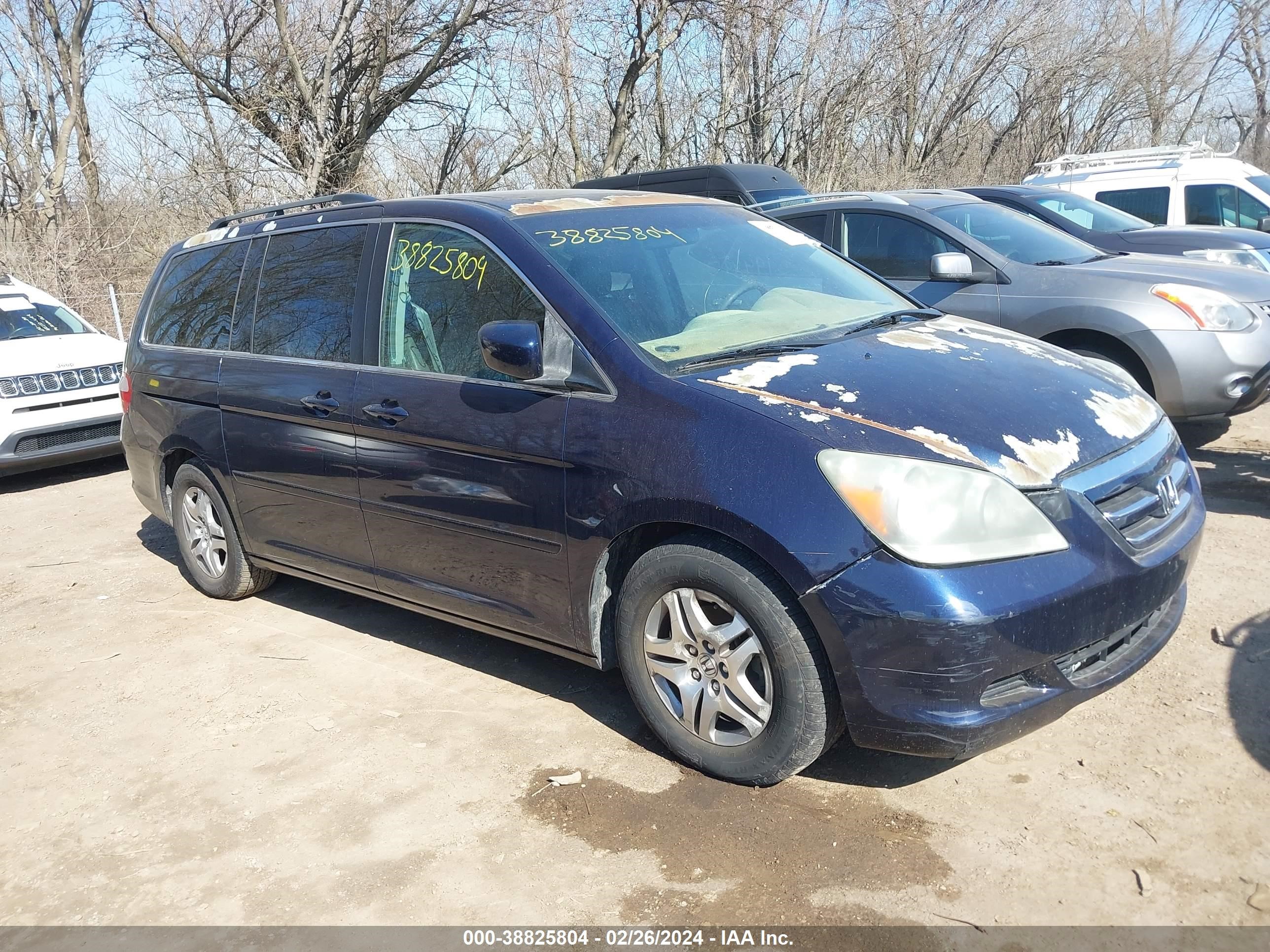 HONDA ODYSSEY 2005 5fnrl38625b135899