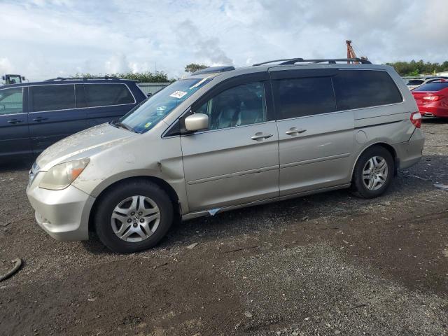 HONDA ODYSSEY 2006 5fnrl38626b406896