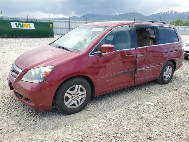 HONDA ODYSSEY EX 2005 5fnrl38635b130520