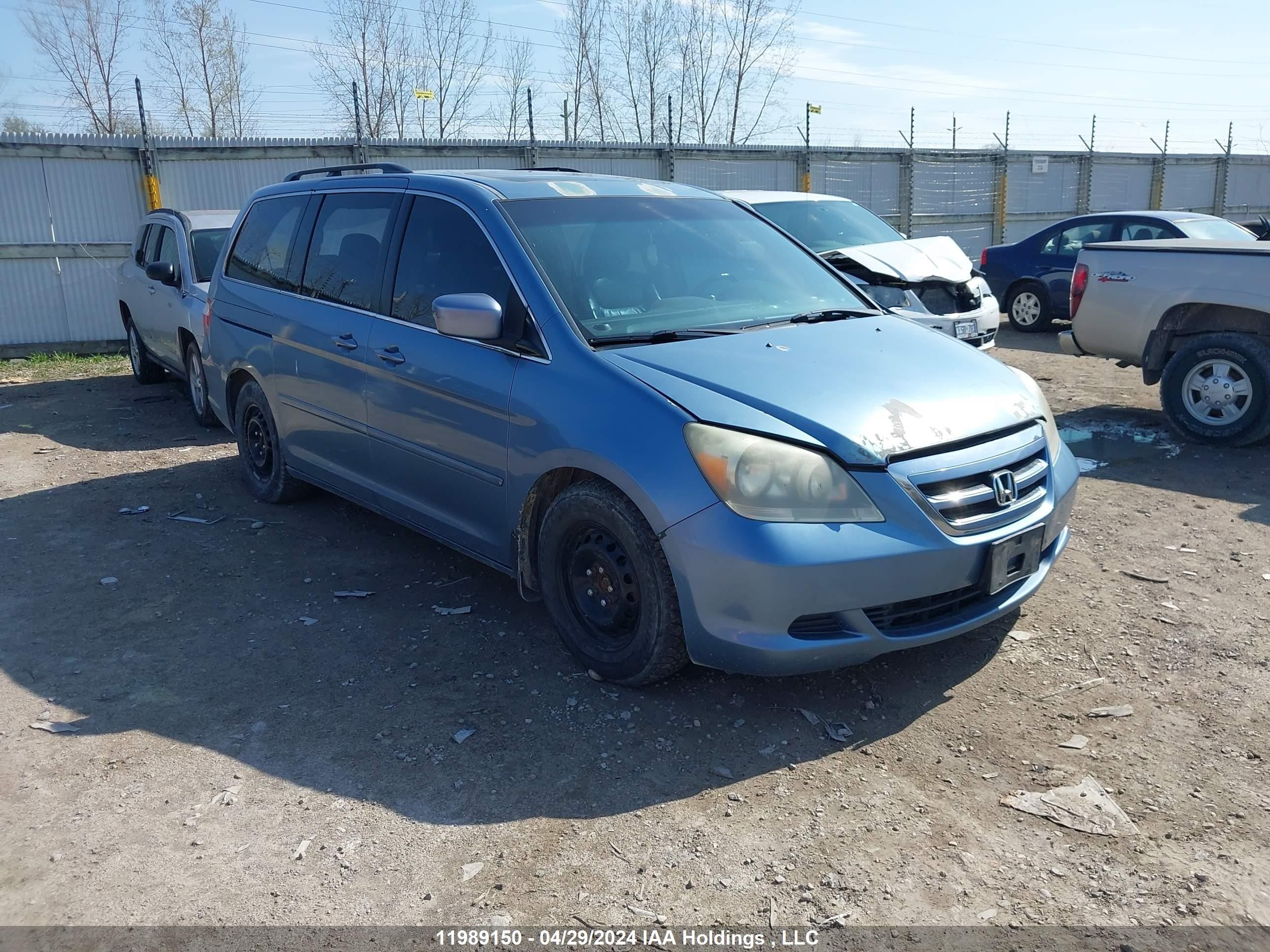 HONDA ODYSSEY 2007 5fnrl38637b503882