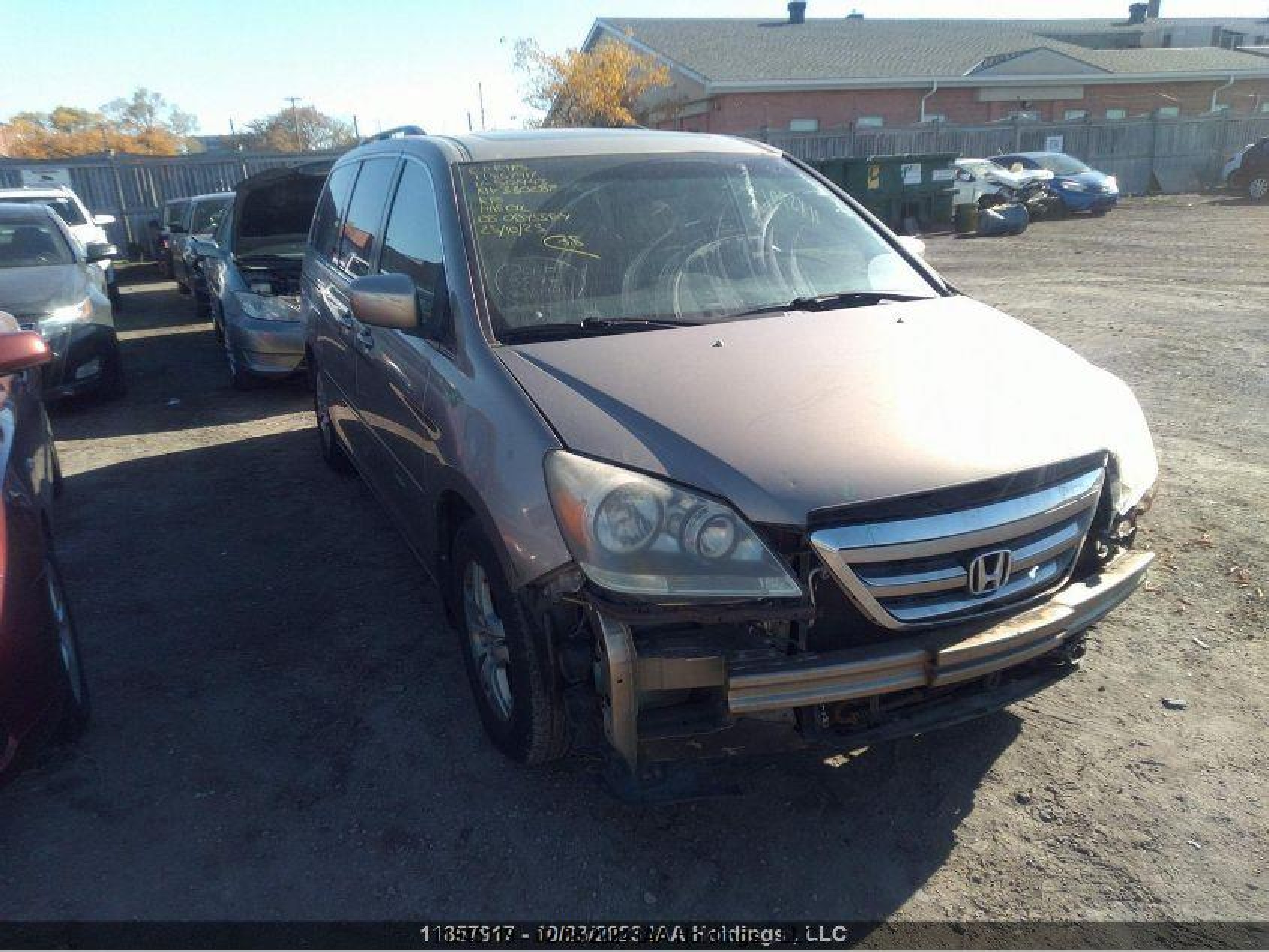 HONDA ODYSSEY 2005 5fnrl38645b501443