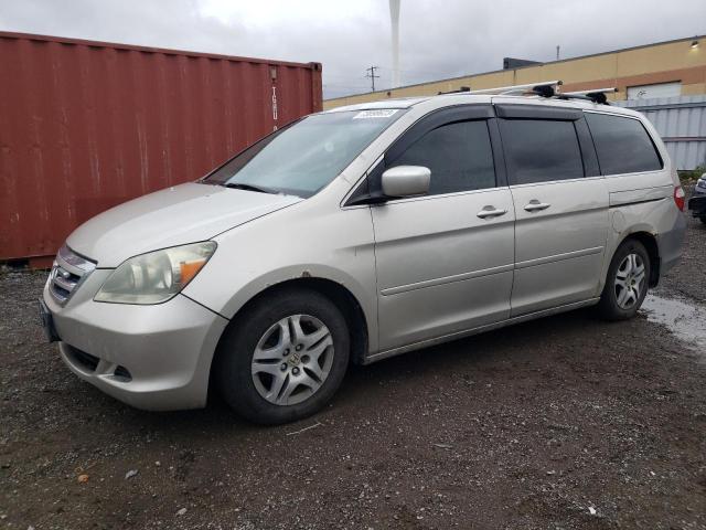 HONDA ODYSSEY EX 2005 5fnrl38645b505699