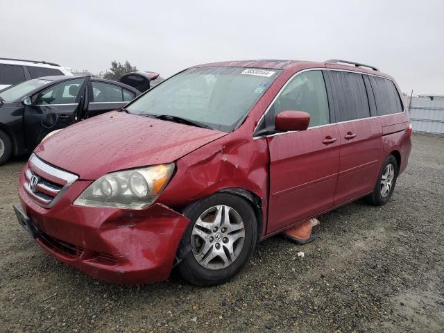 HONDA ODYSSEY EX 2006 5fnrl38646b441343