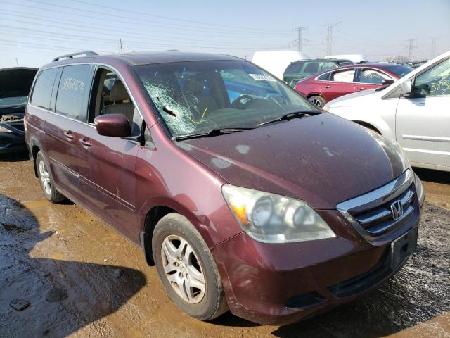 HONDA ODYSSEY 2007 5fnrl38647b442722