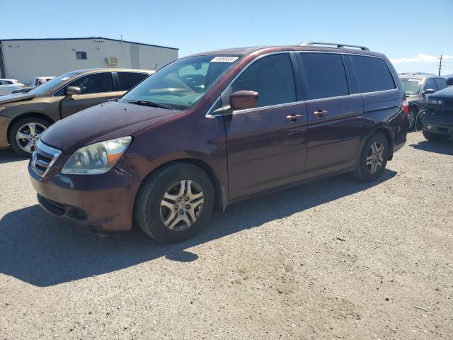 HONDA ODYSSEY EX 2007 5fnrl38647b444941