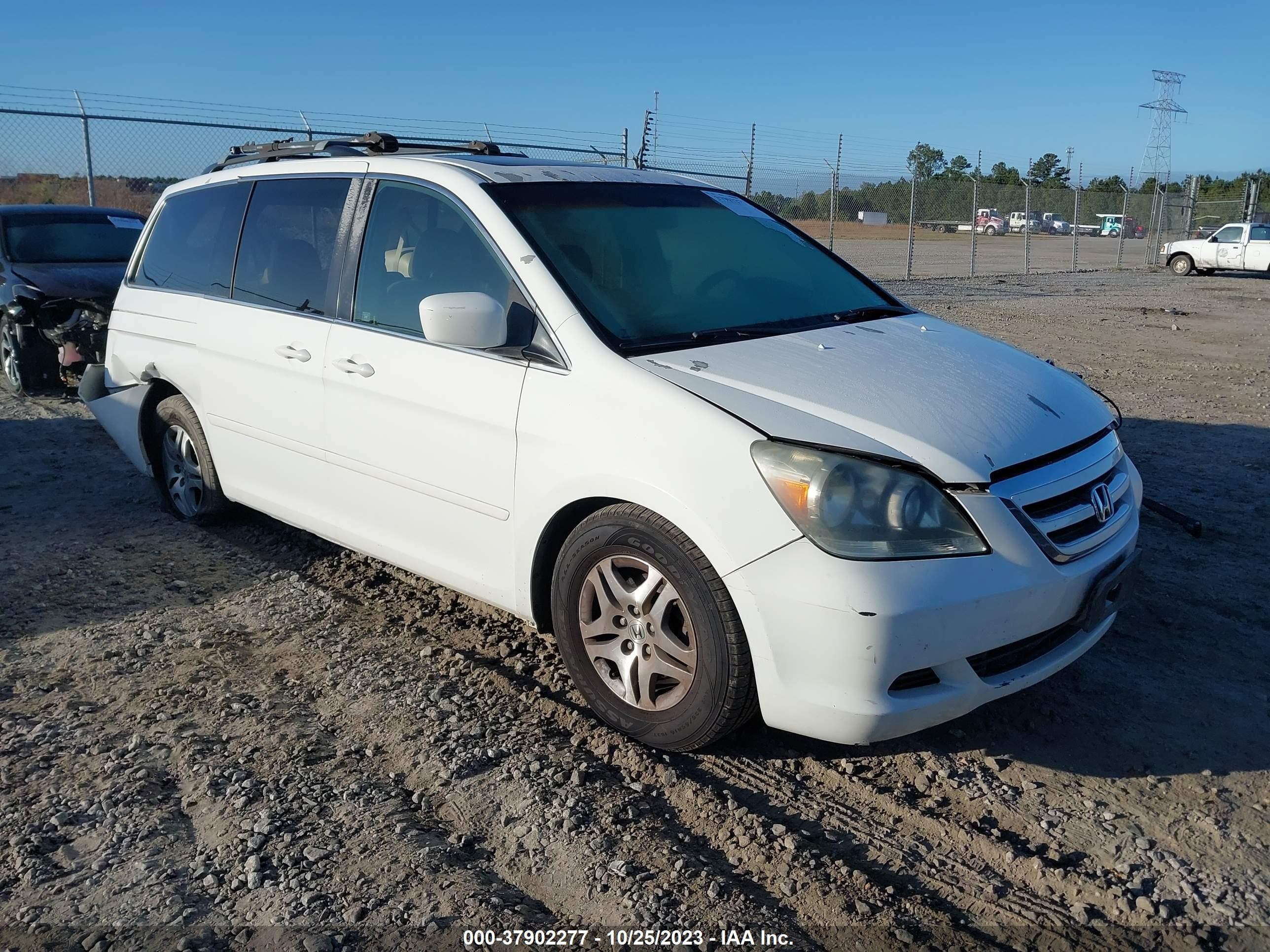 HONDA ODYSSEY 2005 5fnrl38655b007320