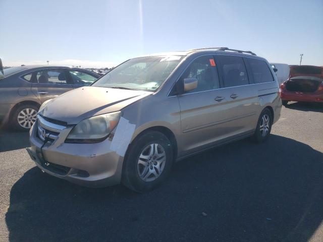 HONDA ODYSSEY EX 2005 5fnrl38655b042150