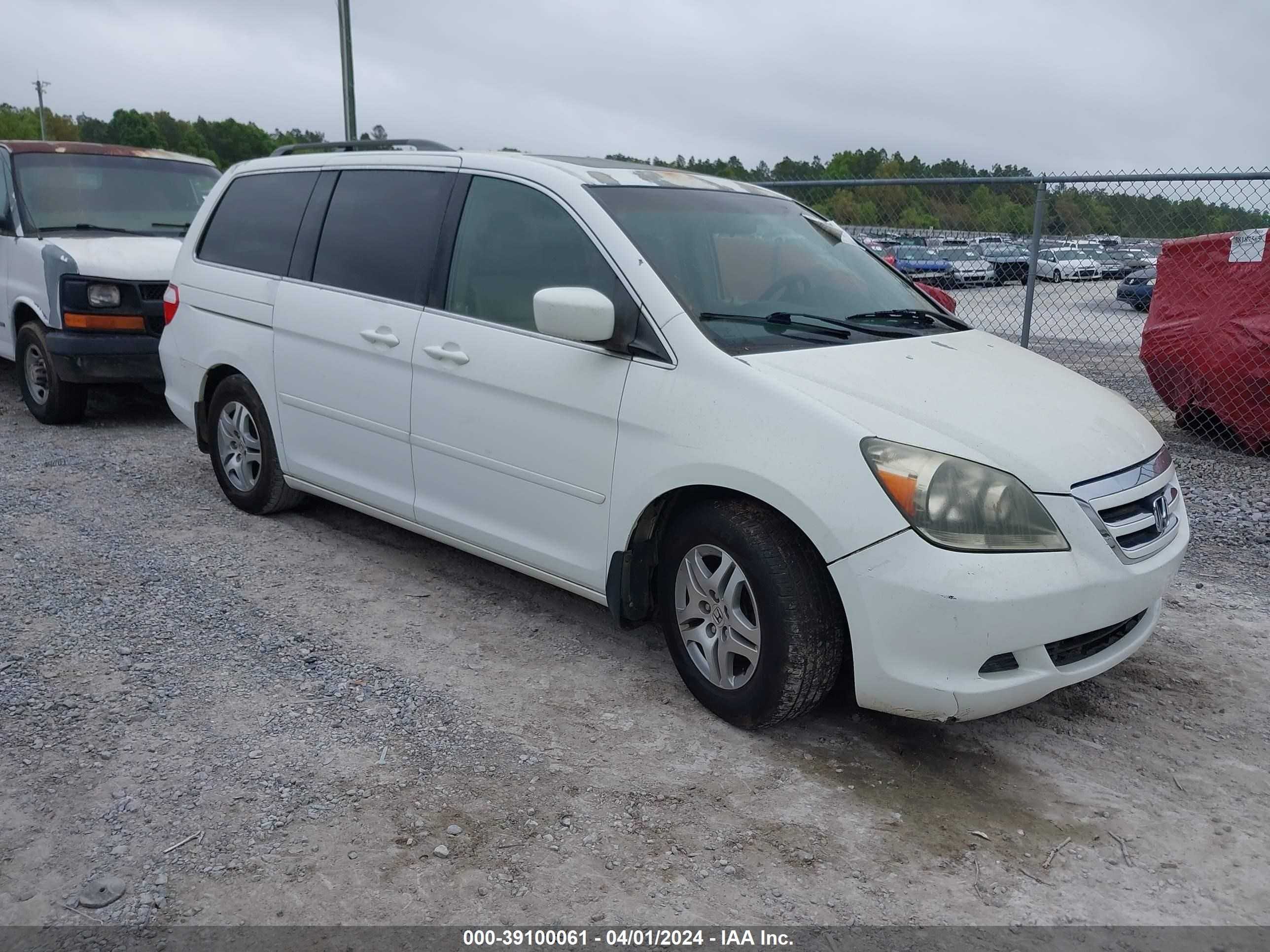 HONDA ODYSSEY 2005 5fnrl38655b050541