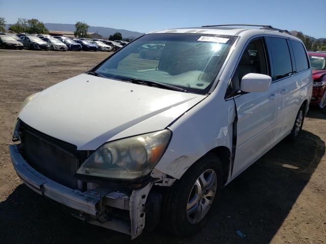 HONDA ODYSSEY EX 2005 5fnrl38655b054346