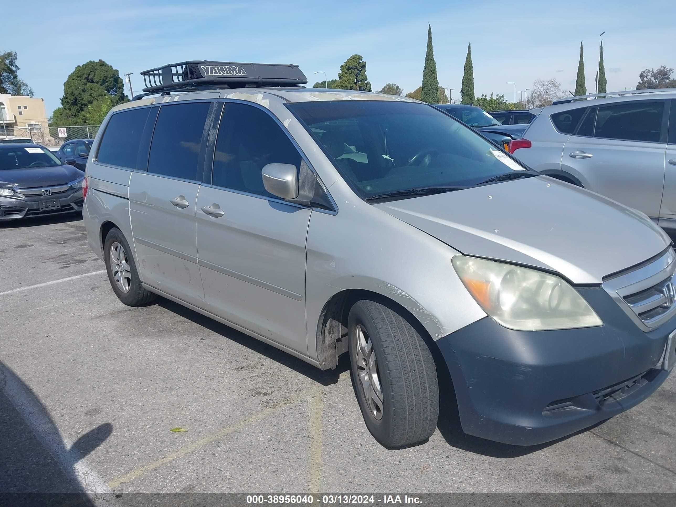 HONDA ODYSSEY 2005 5fnrl38665b039113