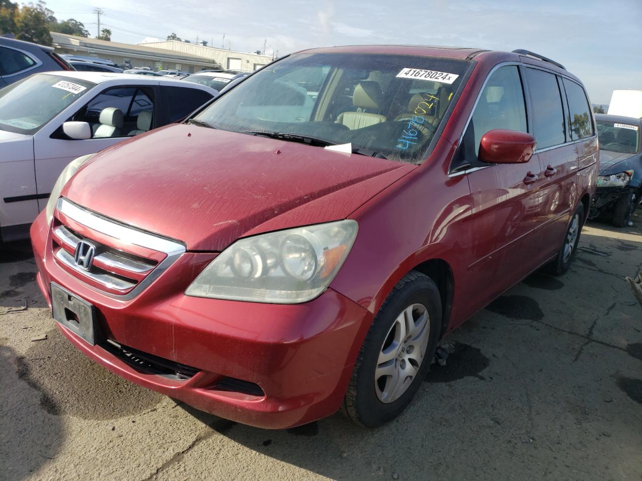 HONDA ODYSSEY 2005 5fnrl38665b409069