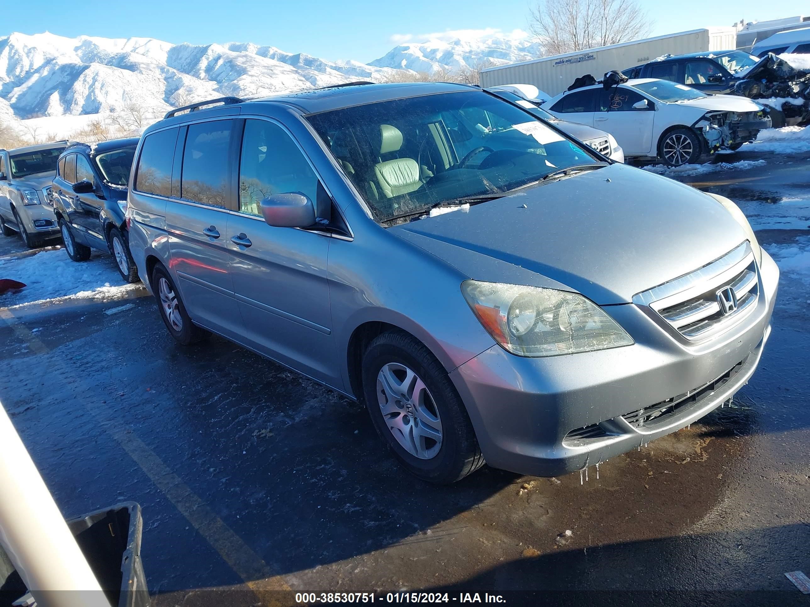 HONDA ODYSSEY 2006 5fnrl38666b059346