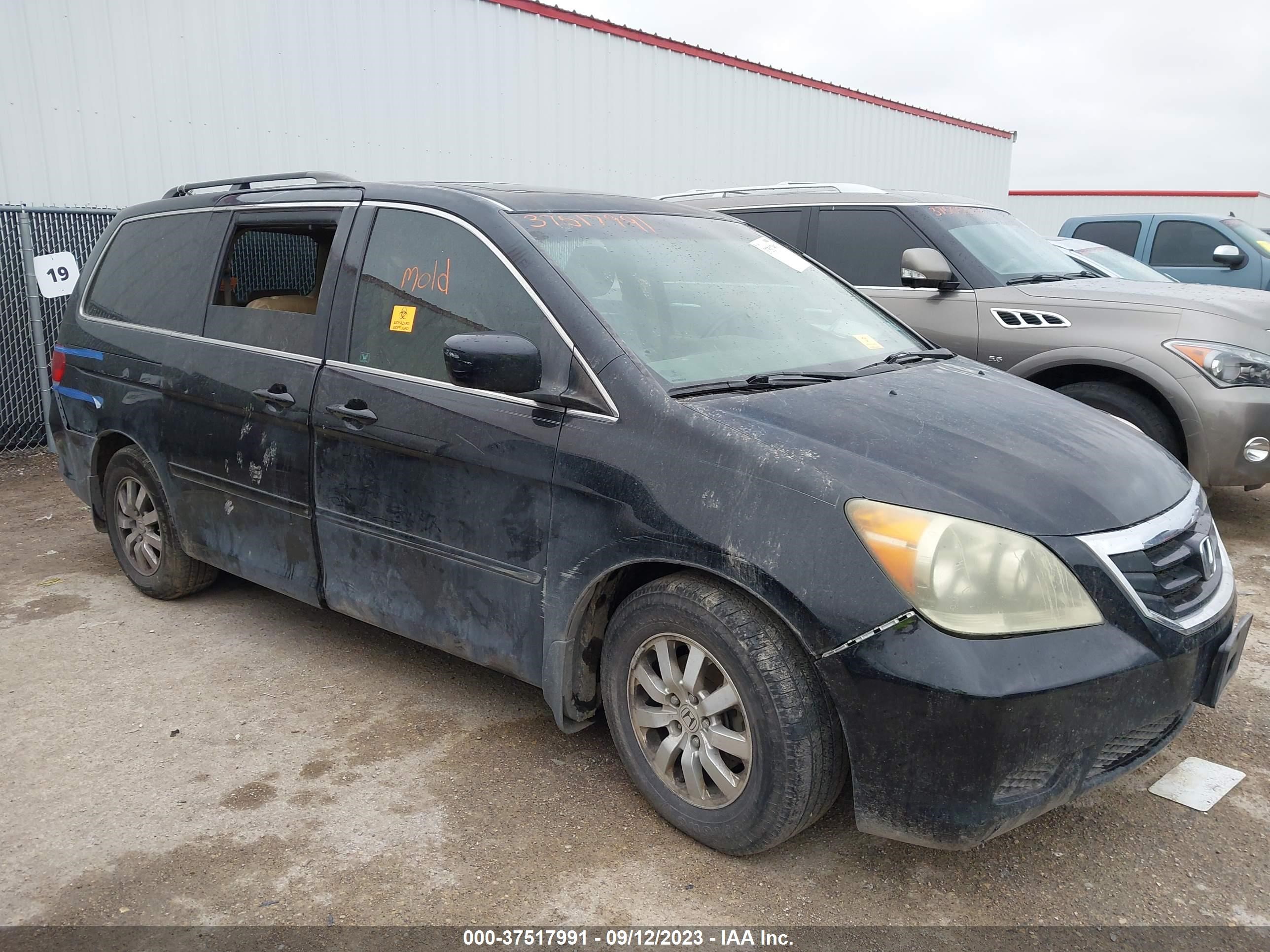 HONDA ODYSSEY 2009 5fnrl38669b058086