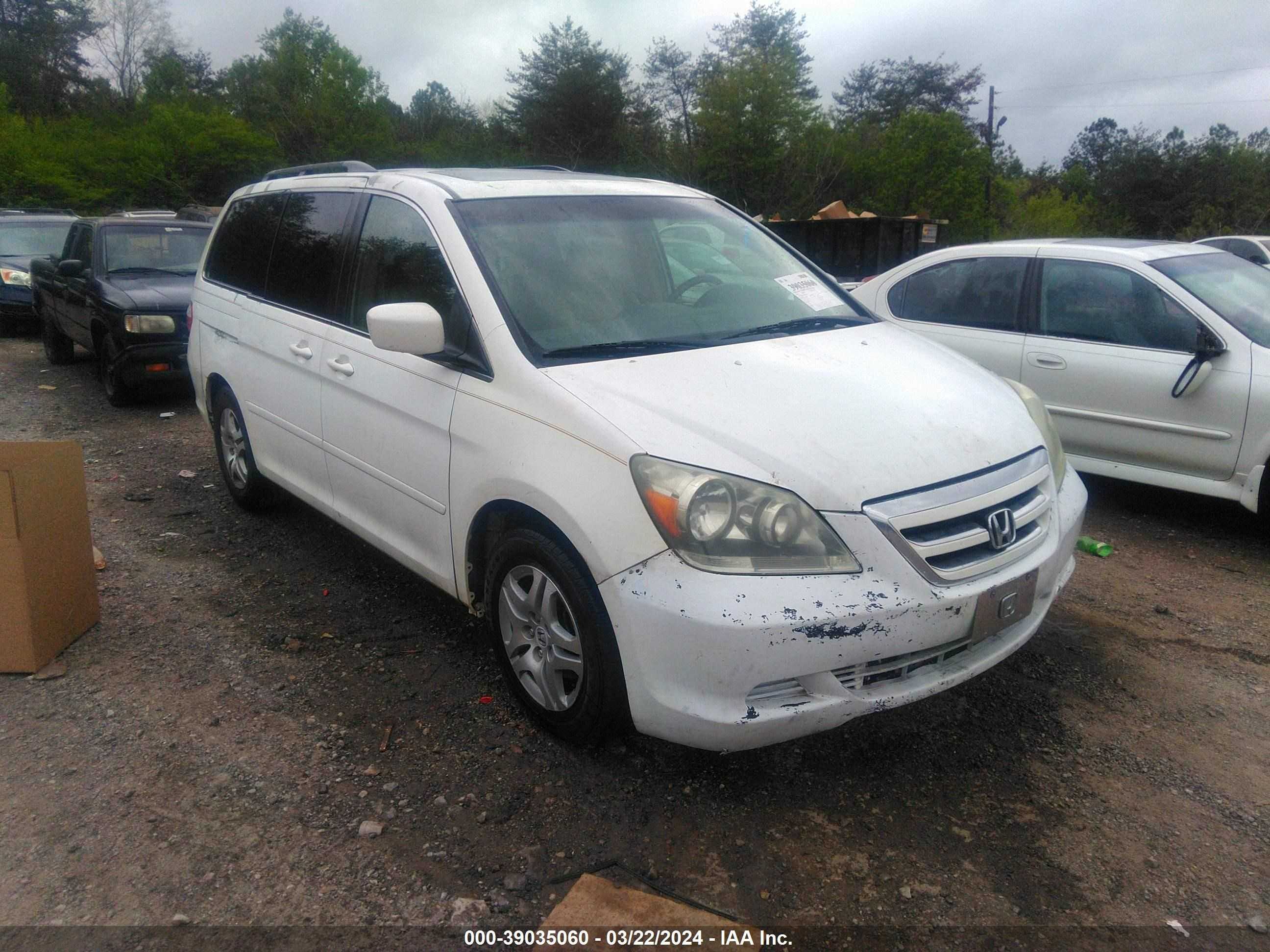 HONDA ODYSSEY 2005 5fnrl38675b046930