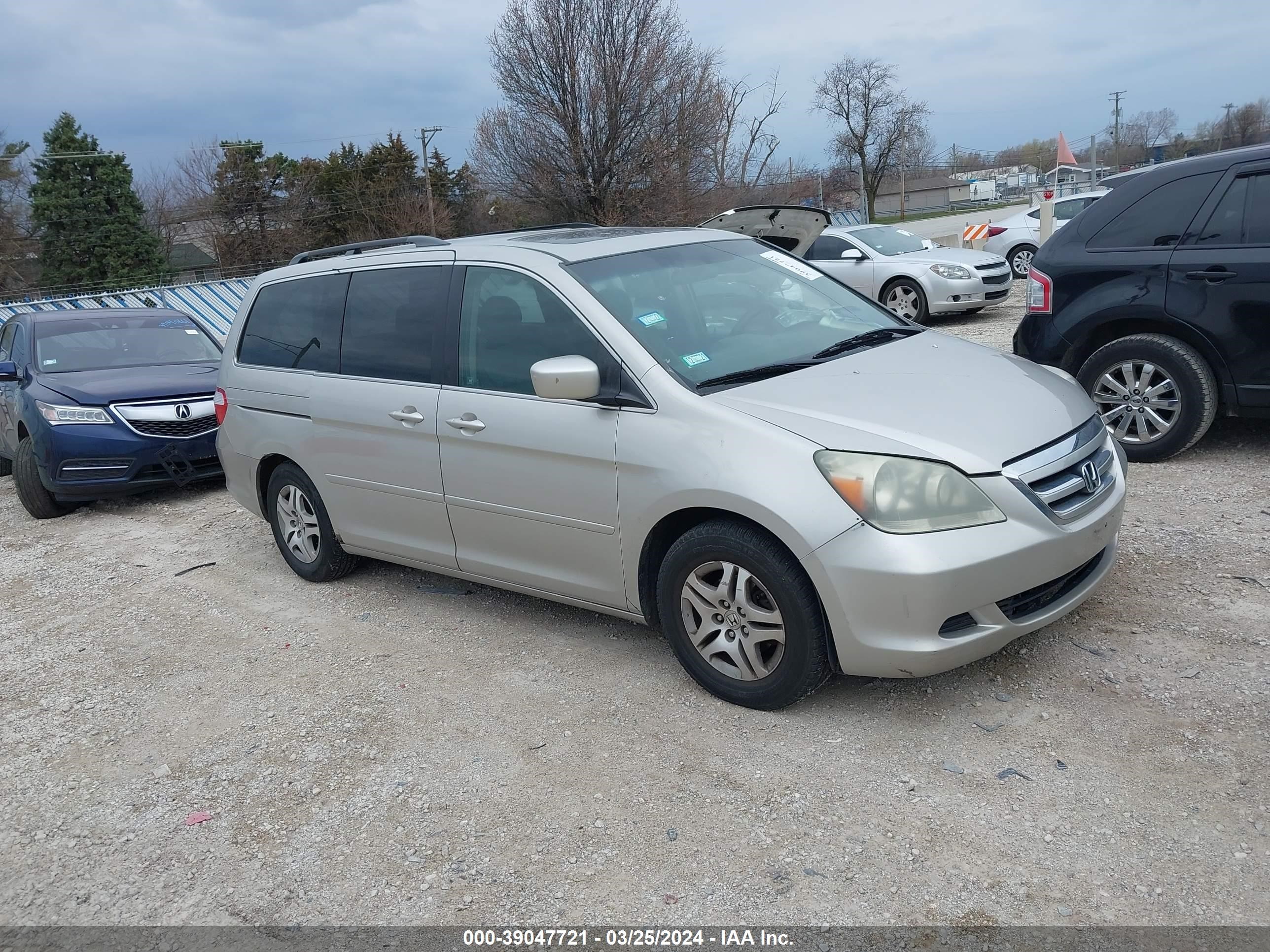 HONDA ODYSSEY 2005 5fnrl38675b415429