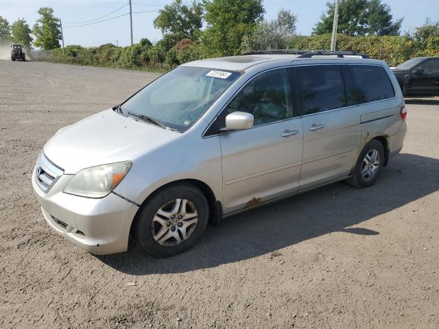 HONDA ODYSSEY EX 2005 5fnrl38675b506555