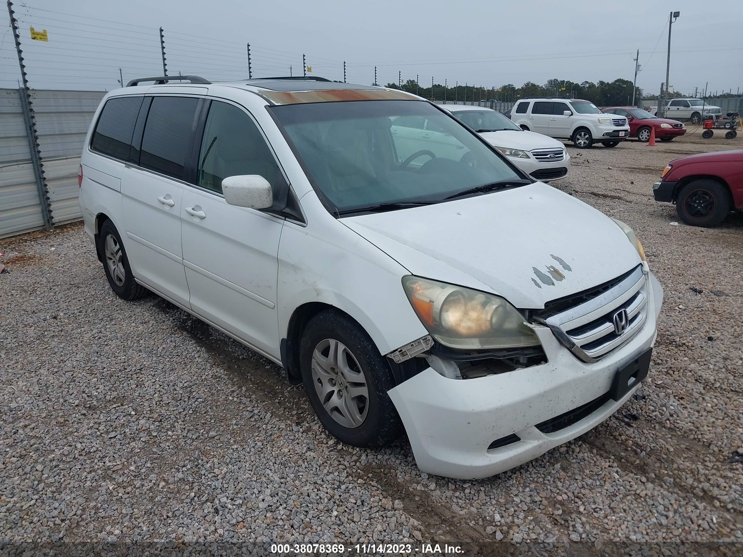 HONDA ODYSSEY 2006 5fnrl38676b428506