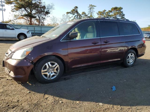 HONDA ODYSSEY EX 2007 5fnrl38677b418415