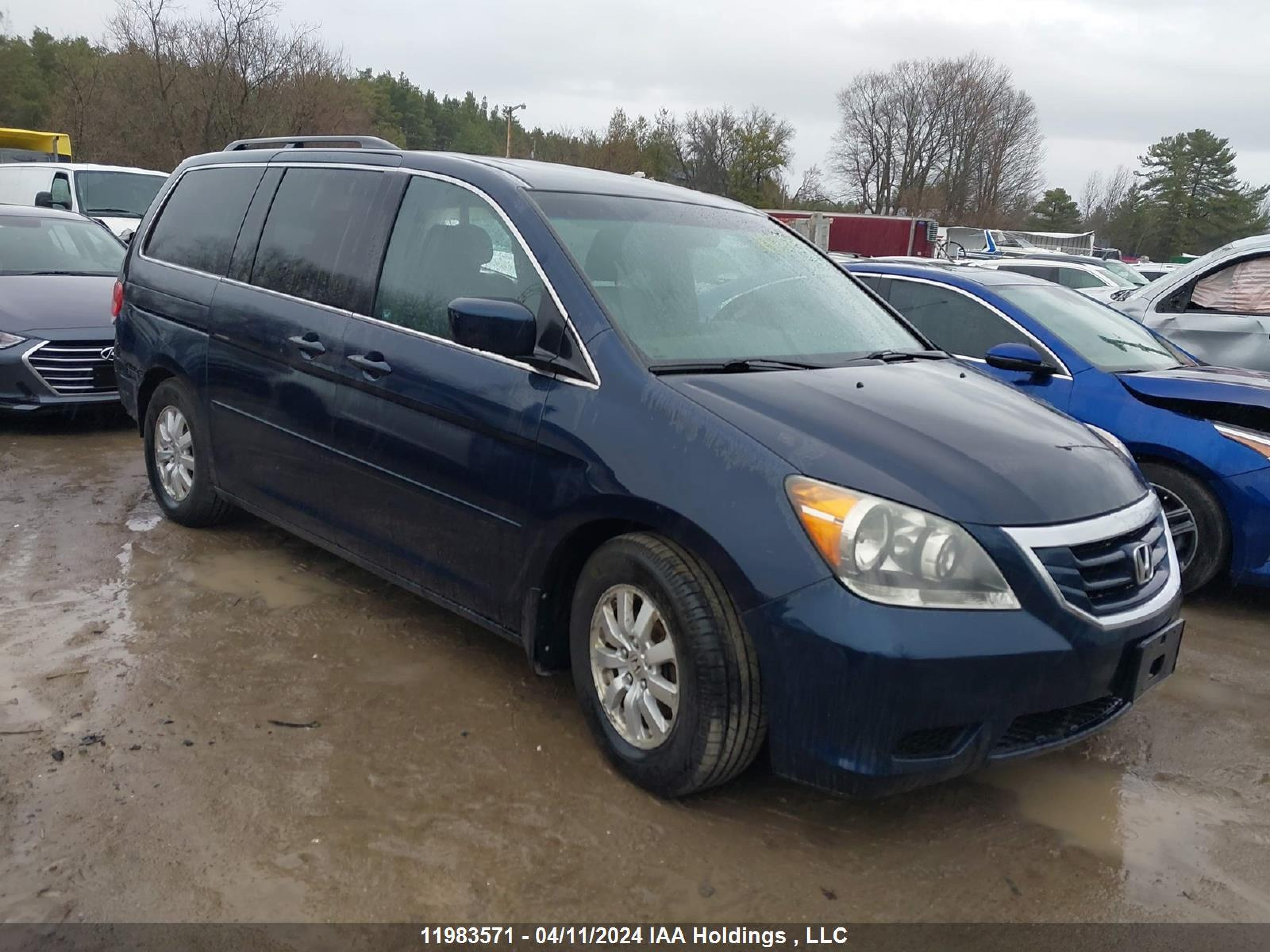 HONDA ODYSSEY 2009 5fnrl38679b503676