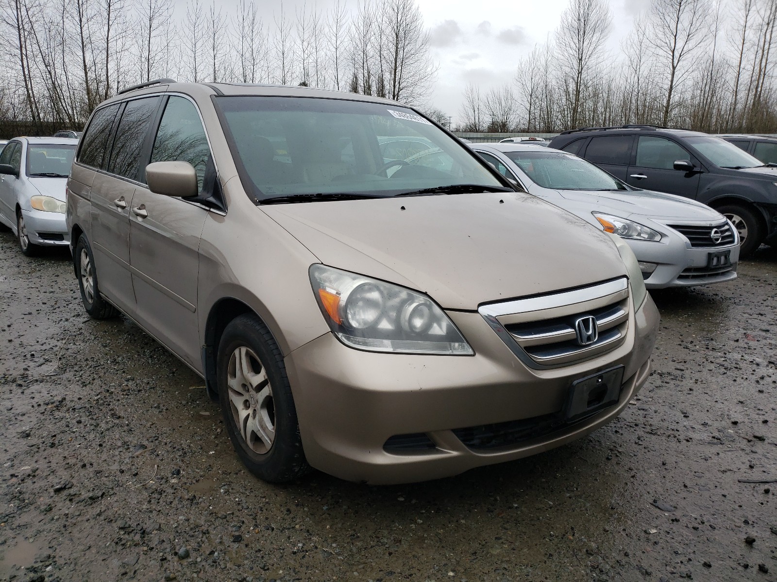 HONDA ODYSSEY EX 2007 5fnrl38687b445932