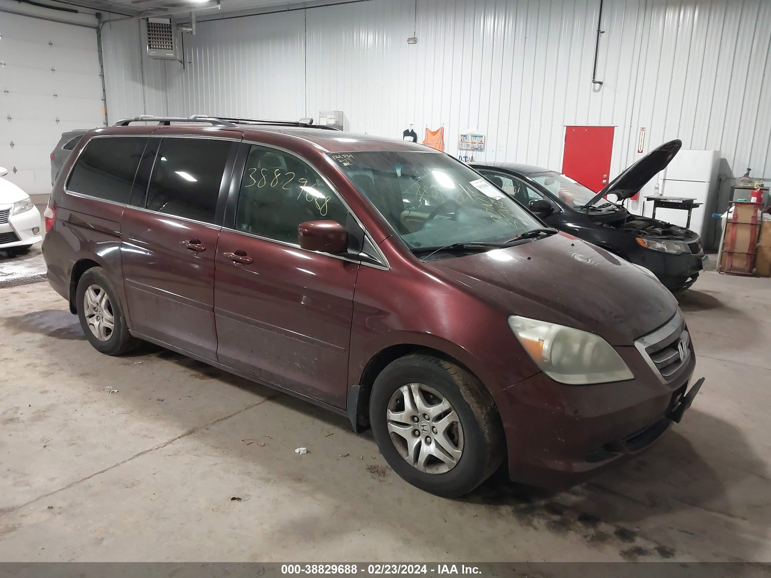 HONDA ODYSSEY 2007 5fnrl38687b459197