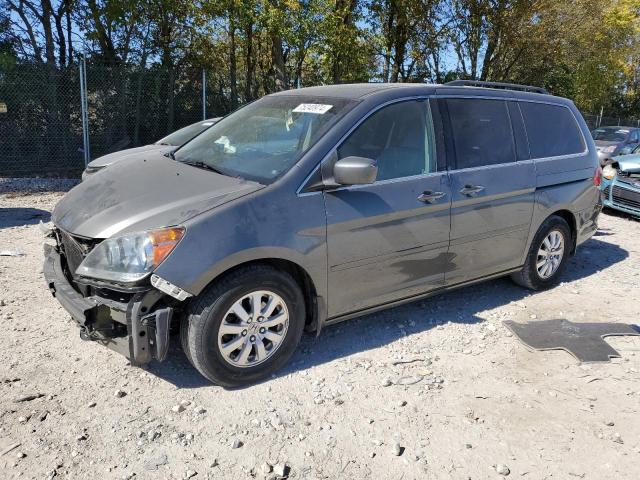 HONDA ODYSSEY EX 2008 5fnrl38688b018428