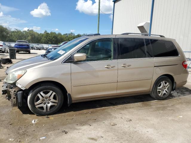 HONDA ALL MODELS 2006 5fnrl38696b446151