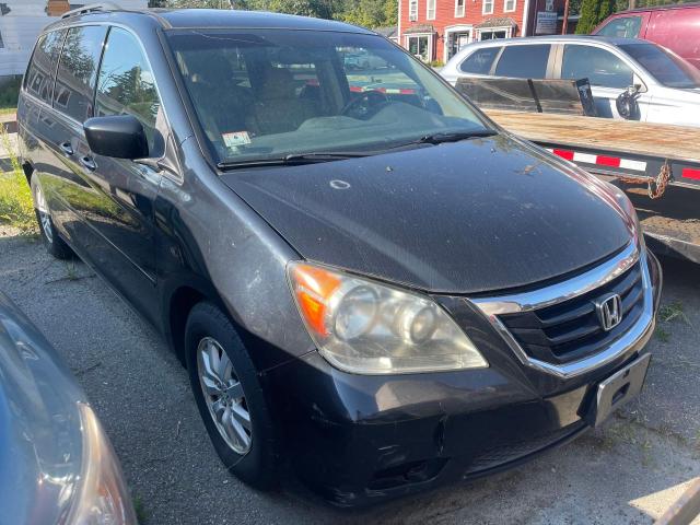 HONDA ODYSSEY EX 2008 5fnrl38698b077407