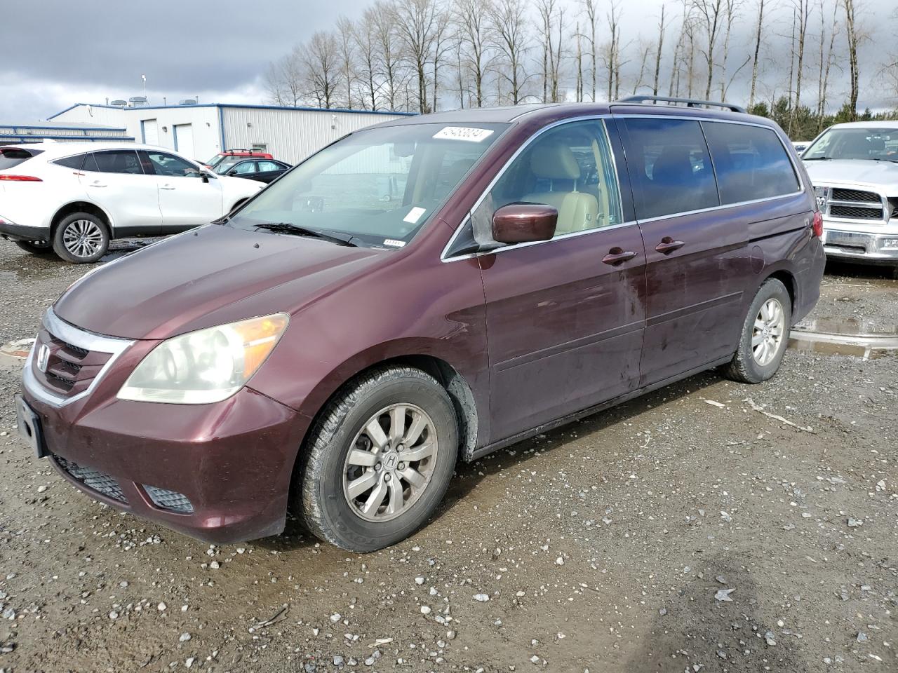 HONDA ODYSSEY 2008 5fnrl38698b402041