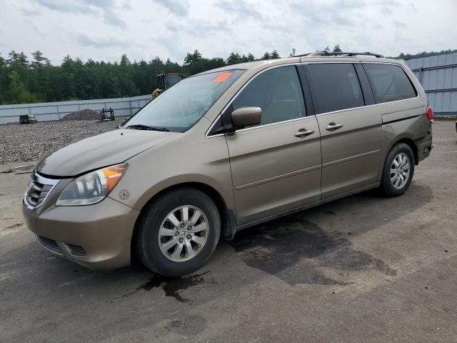 HONDA ODYSSEY 2008 5fnrl38698b415906