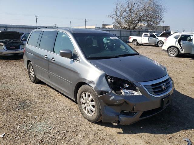 HONDA ODYSSEY EX 2009 5fnrl38699b017676