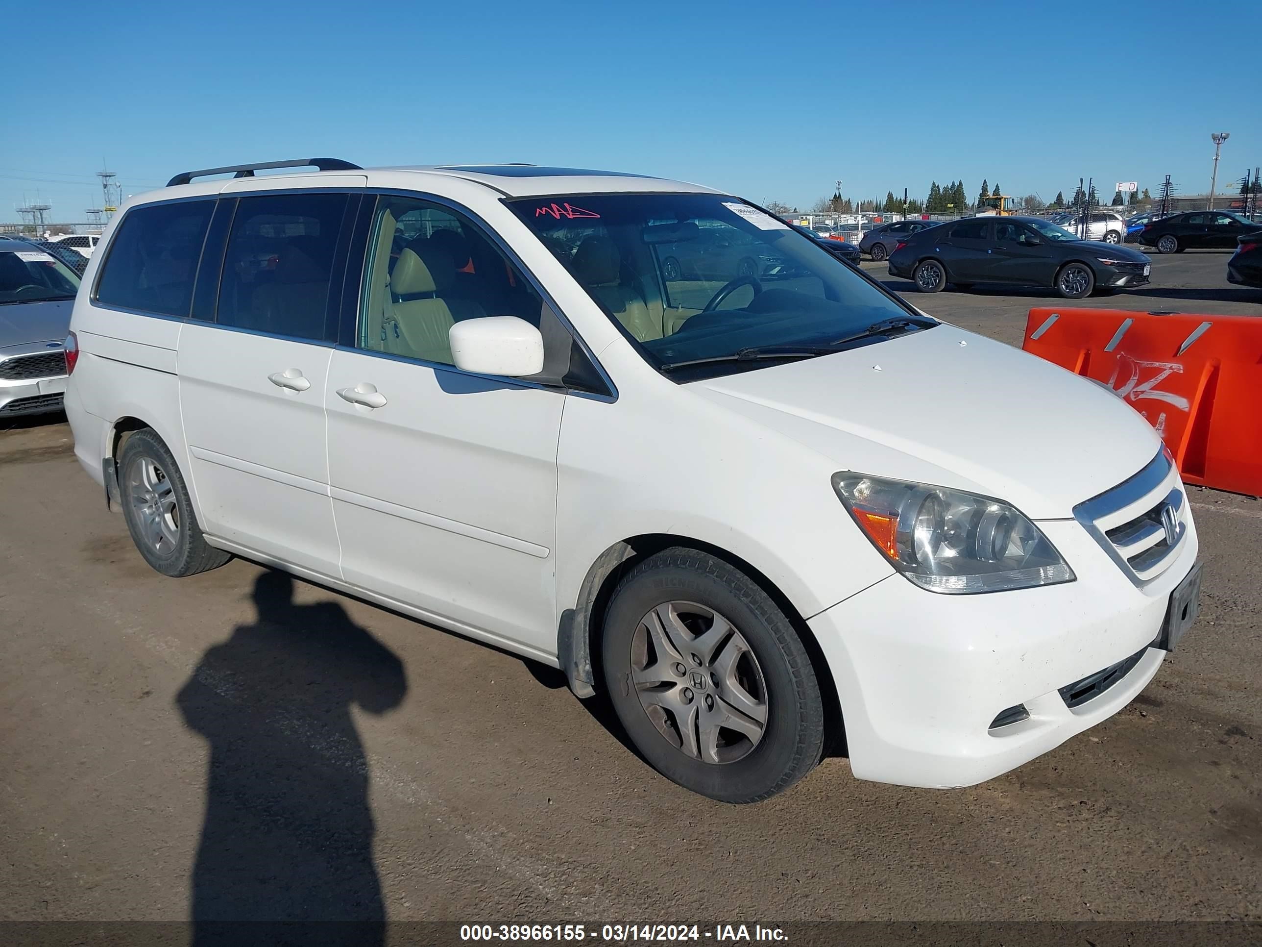 HONDA ODYSSEY 2005 5fnrl386x5b106389