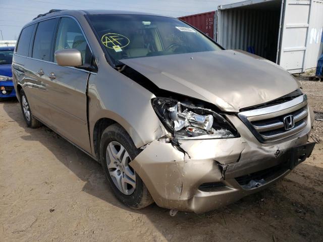 HONDA ODYSSEY 2006 5fnrl386x6b403597