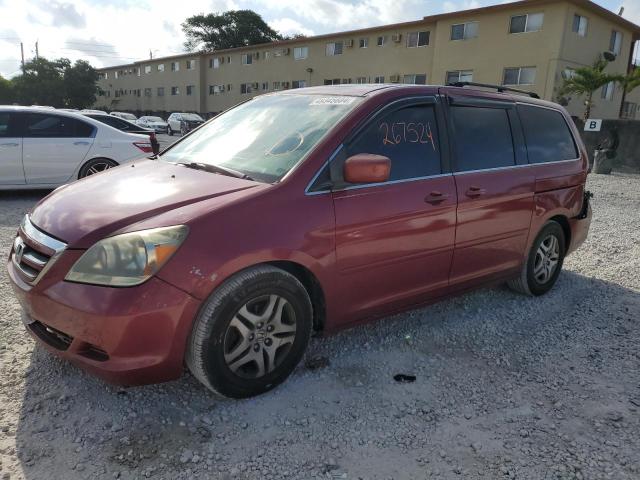 HONDA ODYSSEY 2005 5fnrl38705b034286