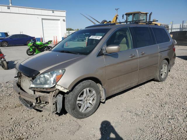 HONDA ODYSSEY EX 2006 5fnrl38706b070965