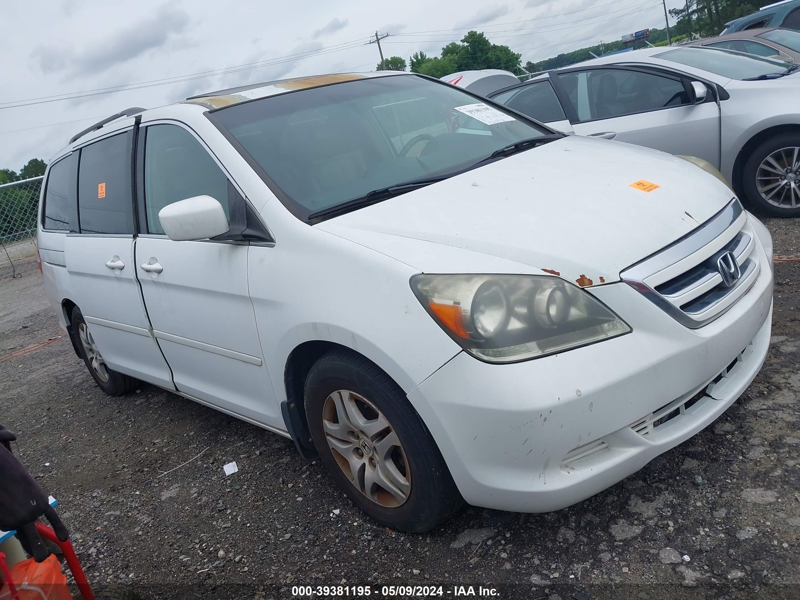 HONDA ODYSSEY 2006 5fnrl38706b075695