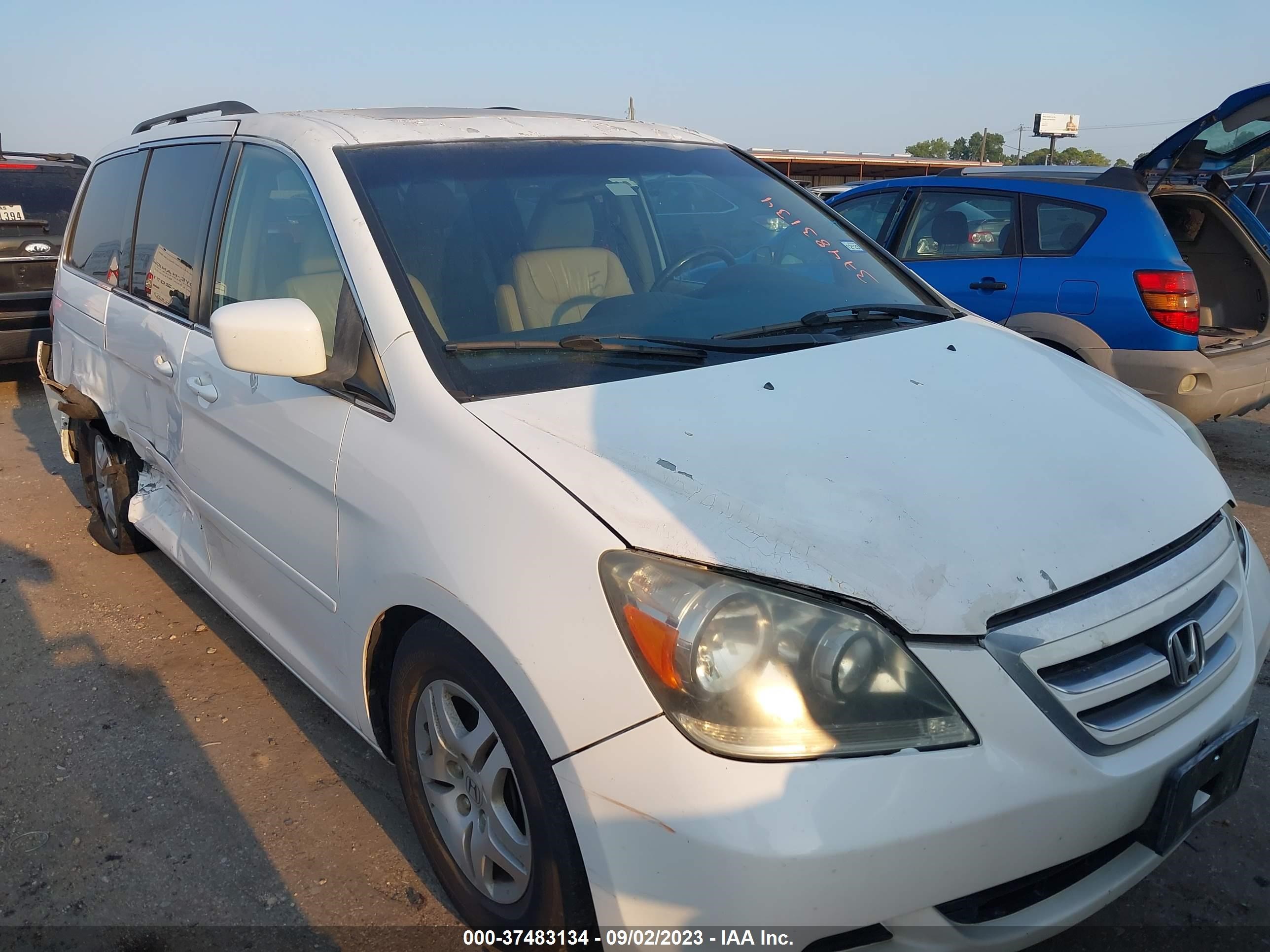 HONDA ODYSSEY 2007 5fnrl38707b145200