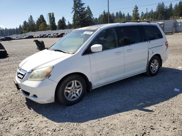 HONDA ODYSSEY EX 2005 5fnrl38715b044549