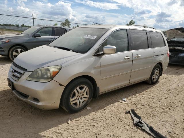 HONDA ODYSSEY EX 2005 5fnrl38715b125373