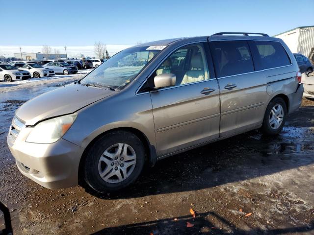 HONDA ODYSSEY EX 2006 5fnrl38716b509669