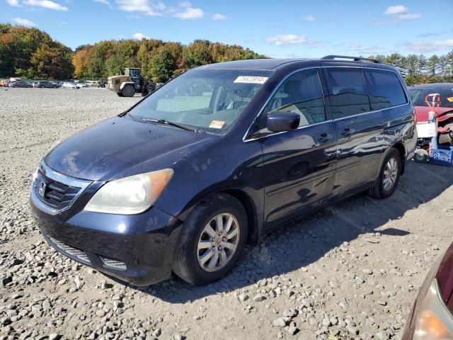 HONDA ODYSSEY EX 2008 5fnrl38718b067477