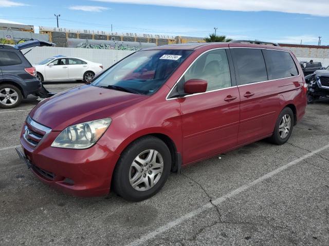 HONDA ODYSSEY EX 2005 5fnrl38725b133160