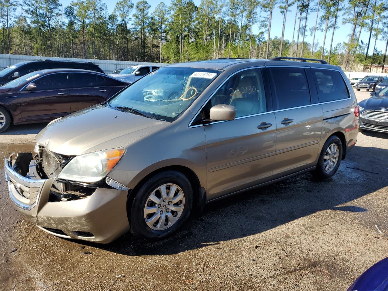 HONDA ODYSSEY 2009 5fnrl38729b405812