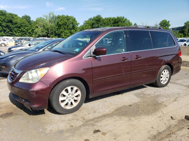 HONDA ODYSSEY 2009 5fnrl38739b020663