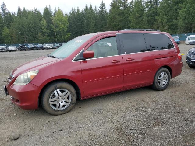 HONDA ODYSSEY EX 2005 5fnrl38745b102220